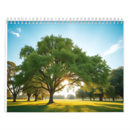 Calendário Tempo Tranquilo Com uma Grande Árvore
