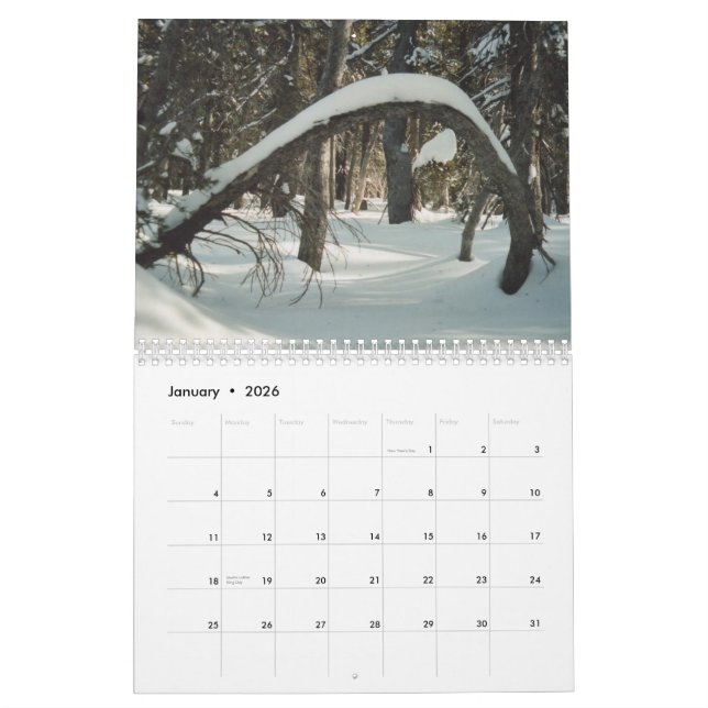 Calendário Tesouros escondidos 2011 (Jan 2026)