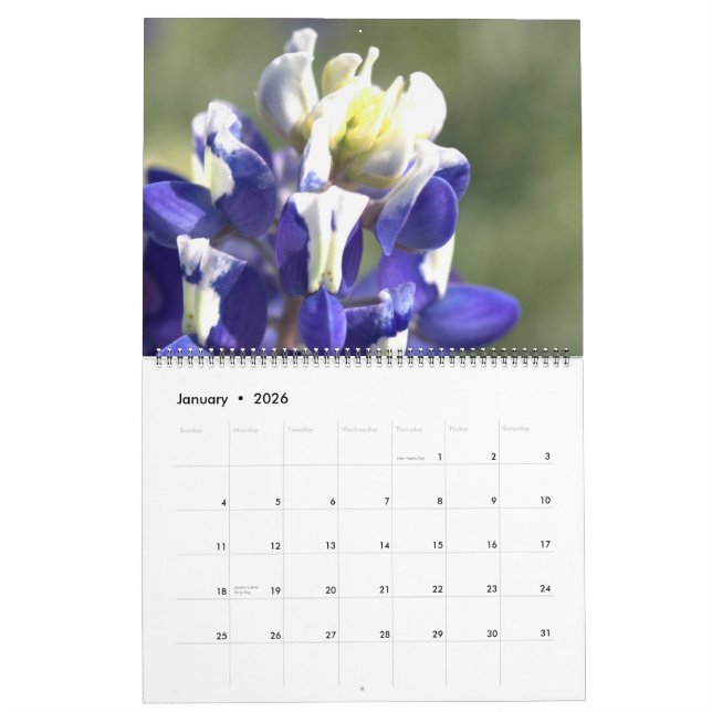 Calendário Texas Beauties: Crie seu próprio Bluebonnet (Jan 2026)