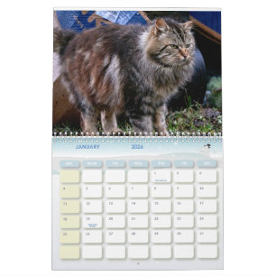 Calendário The Feral LIfe Photo Cats 2026