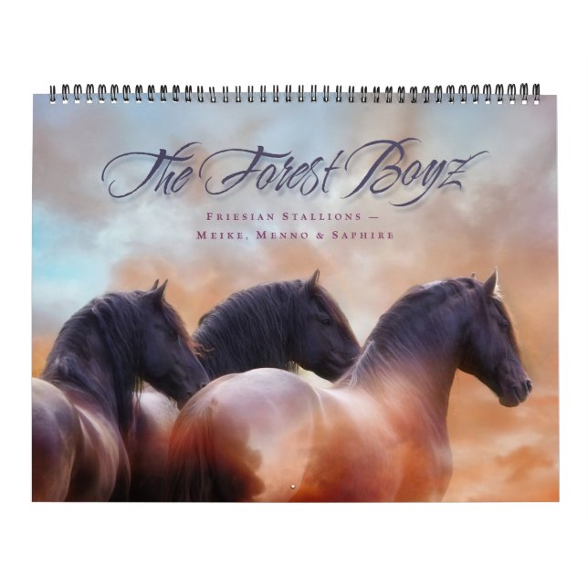 Calendário The Forest Boyz – Always & Forever Calendar (Capa)