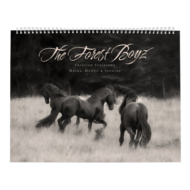 Calendário The Forest Boyz - Correr selvagem (Capa)