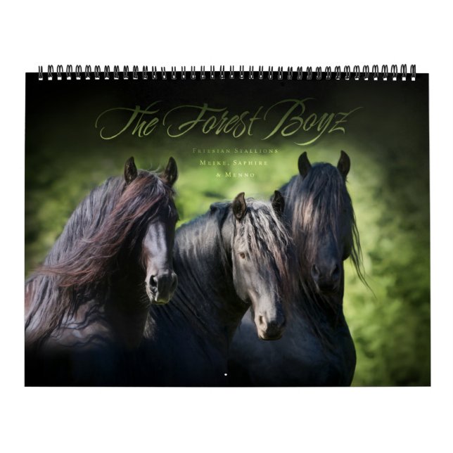 Calendário The Forest Boyz - Vivendo o Sonho (Capa)