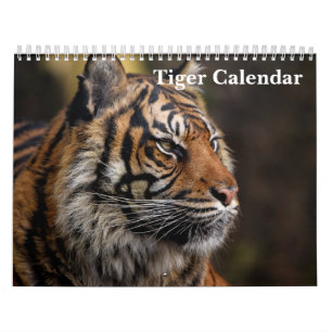 Calendário Tiger Wild Animal 2025