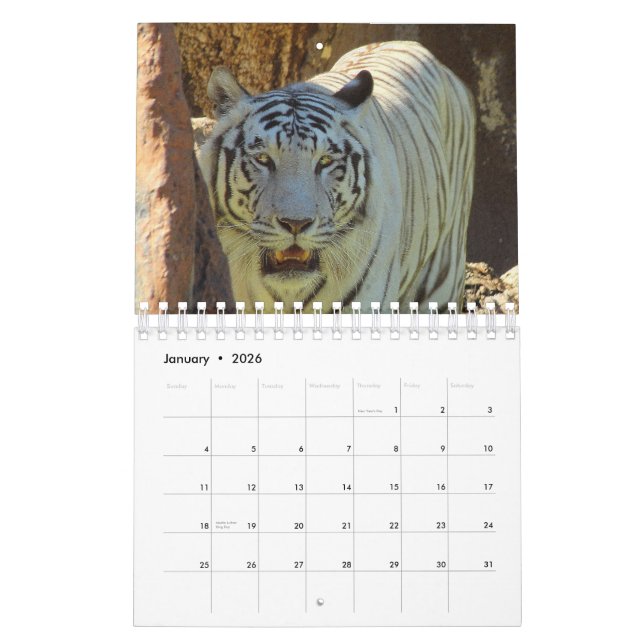 Calendário Tigre (Jan 2026)