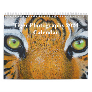 Calendário Tigre Fotografia Selvagem Animal 2024