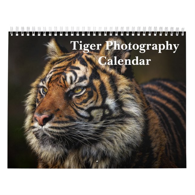 Calendário Tigre Fotografia Selvagem Animal 2025 (Capa)