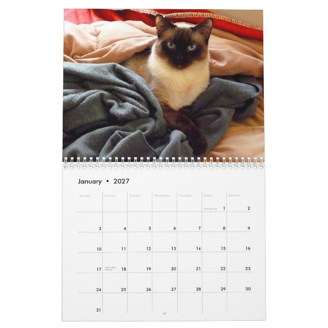 Calendário Ting Ting o gato Siamese (Jan 2027)