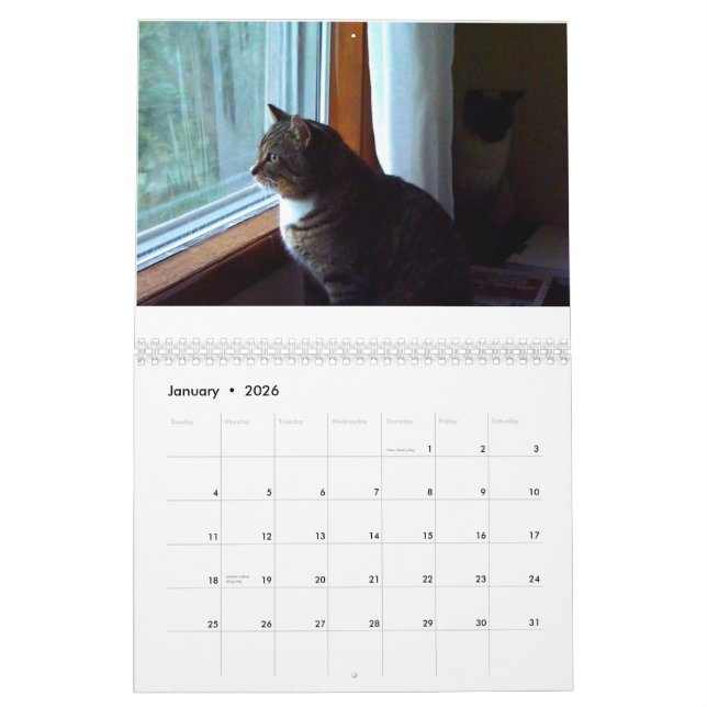 Calendário Tommy o gato malhado (Jan 2026)