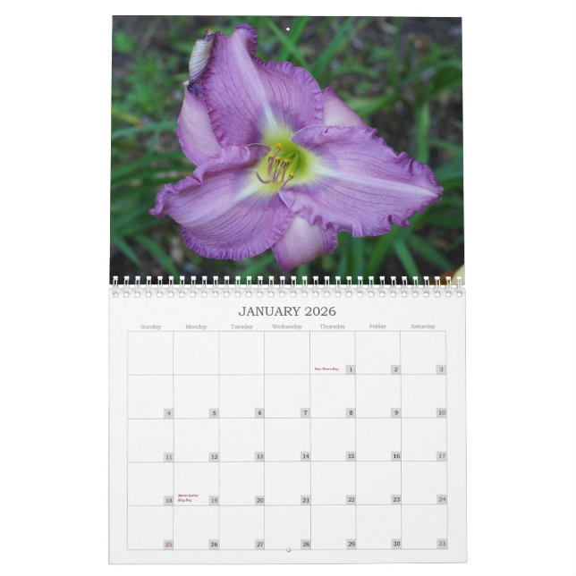 Calendário Toque dos hemerocallis de Sun II (Jan 2026)