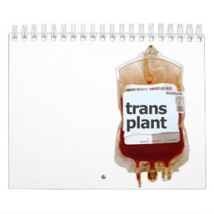 Calendário transplantação