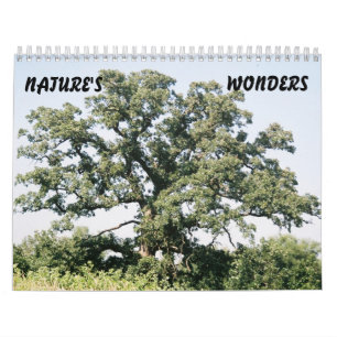 Calendário Tree-02, NATUREZA, QUER SABER