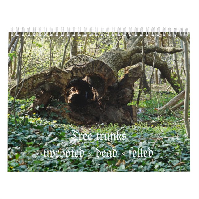 Calendário Tree trunks uprooted felled - dead - (Capa)