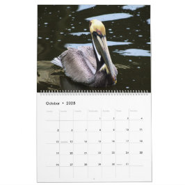 Calendário Tropical 2025, Pássaros De Praia No Par