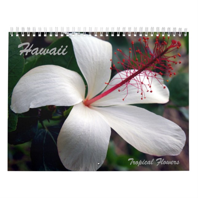 Calendário tropical das flores de Havaí (Capa)