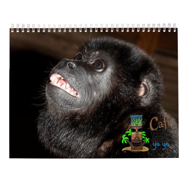 Calendário Tropical de Arte Insular (Verso)