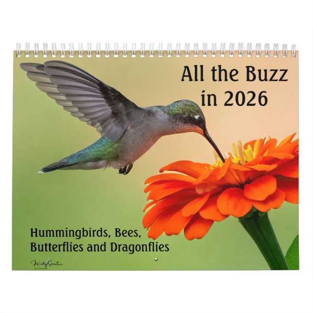 Calendário Tudo a Buzir 2026 (Capa)