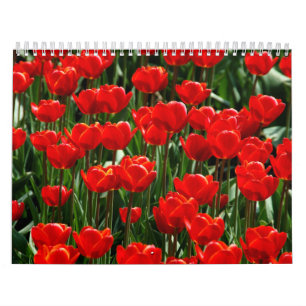 Calendário Tulipa Elegante Rosa Floral Lindas Flores ano novo