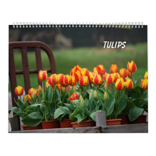 Calendário Tulipas