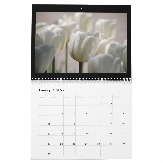 Calendário Tulipas 2013 (Jan 2027)