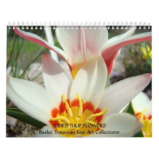 CALENDÁRIO TULIPAS Calendários Flores de Tulipa (Capa)