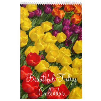 Calendário Tulipas coloridas