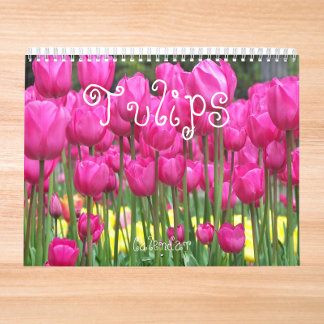 Calendário Tulipas Coloridas Fotográficas