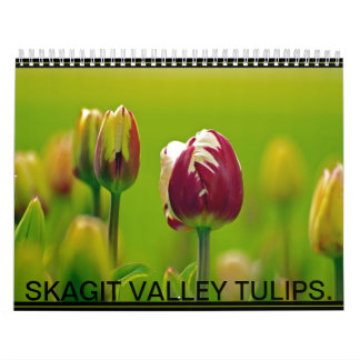CALENDÁRIO TULIPS. DO VALE DE SKAGIT