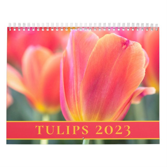 Calendário Tulips Fotografia 2023 (Capa)