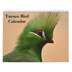 Calendário Turaco Bird 2025