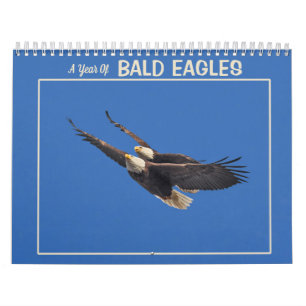 Calendário Um Ano De Águia Careca