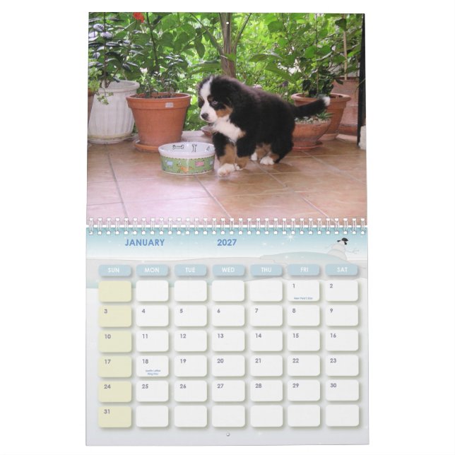 Calendário Um ano de Berner (Jan 2027)
