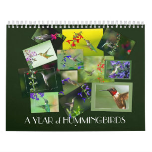Calendário Um ano de colibris