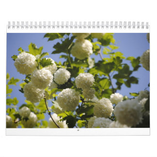 Calendário um ano de flores