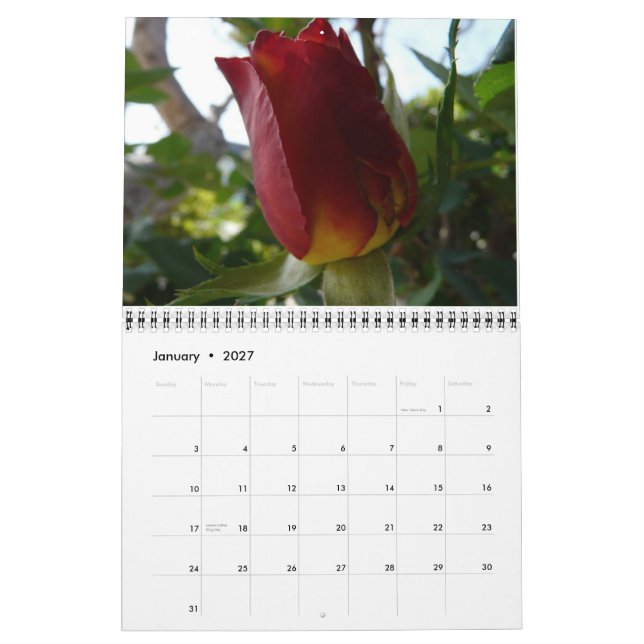 Calendário Um ano de flores (Jan 2027)