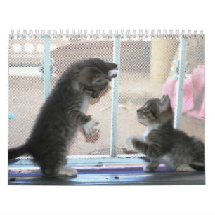 Calendário Um ano de fuzzybutts