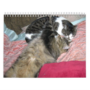 Calendário Um ano de gatinhos (edição dos EUA)