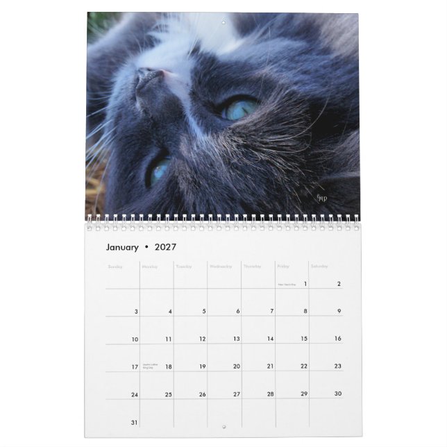 Calendário Um ano de gatos - personalize a qualquer ano onde (Jan 2027)