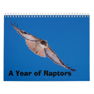 Calendário Um ano de raptores