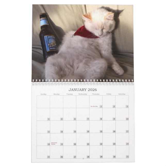 Calendário Um ano de ridiculousness (Jan 2026)