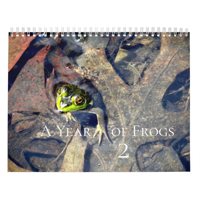 Calendário Um ano de Sapos 2 (Capa)