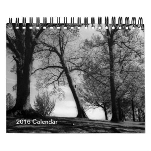 Calendário Um ano na fotografia preto e branco