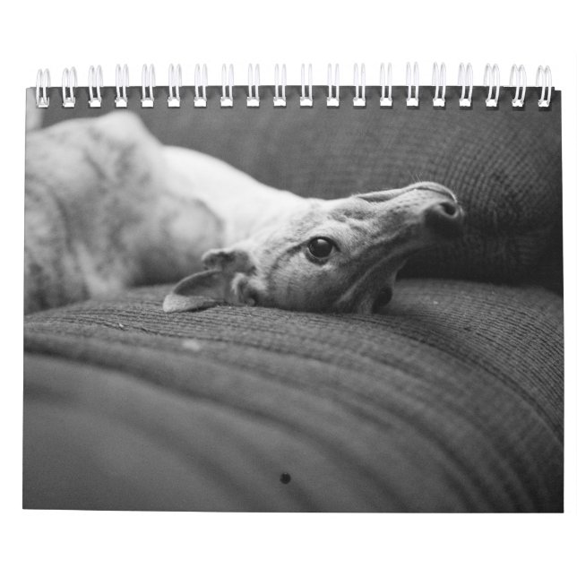 Calendário Um ano na vida de Enzo (Verso)