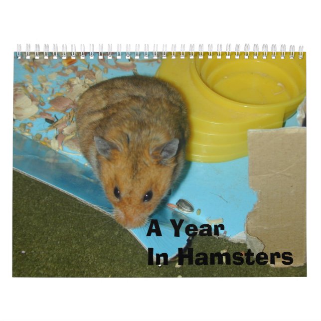 Calendário Um ano nos hamster 2010 (Capa)