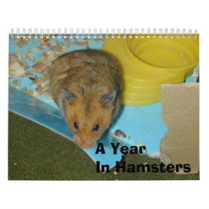 Calendário Um ano nos hamster 2010