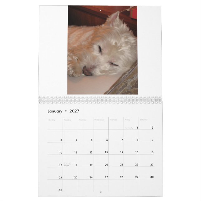 Calendário Um dia na vida do rubi--A arte de Napping (Jan 2027)