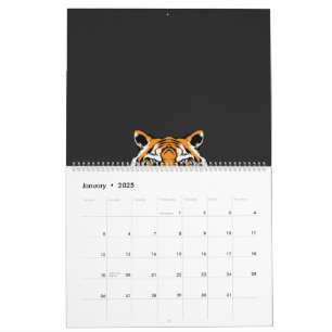 Calendário um fecho do rosto de um tigre sobre um fundo preto