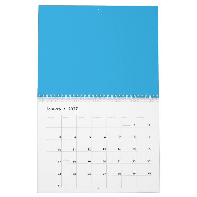 Calendário um fundo azul com um gato preto e branco (Jan 2027)