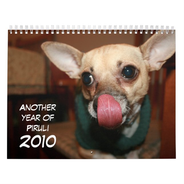 Calendário Um outro ano de Piruli - 2010 (Capa)