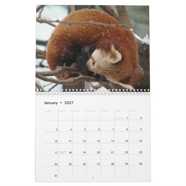 Calendário Um tanto-Sazonal (Jan 2027)